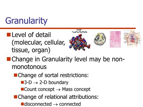 Class width determining level of detail and granularity