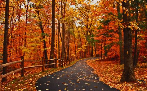 Classic Fall Landscapes