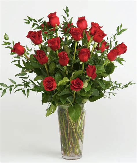 Classic Red Roses