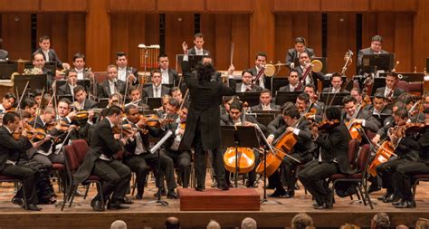 Classical Concert Performance