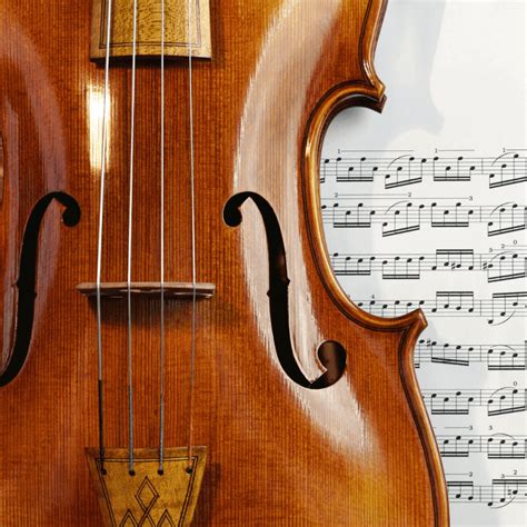 Classical Musician Volunteer Jobs