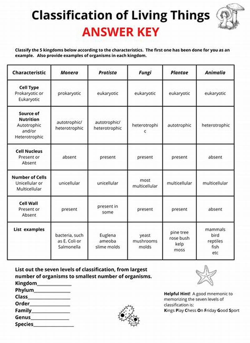 Classification Of Living Things Chart Answer Key