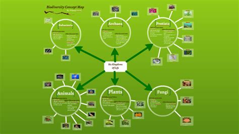 Biodiversity Concept Map Simmys Biology Eportfolio