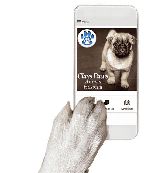 Discover the Best Pet Care Services at Claus Paws Animal Hospital - Your Trusted Local Veterinarian