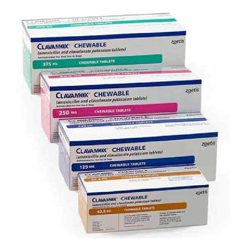 Clavamox For Dogs