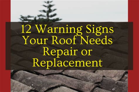 Clay Roof Repair Austin - Warning Signs