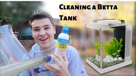 Clean A Betta Fish Tank