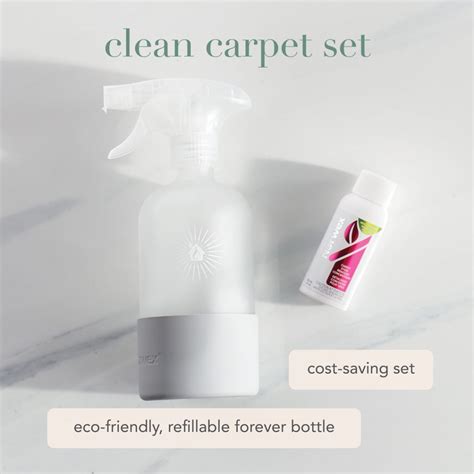 Clean Carpet With Norwex