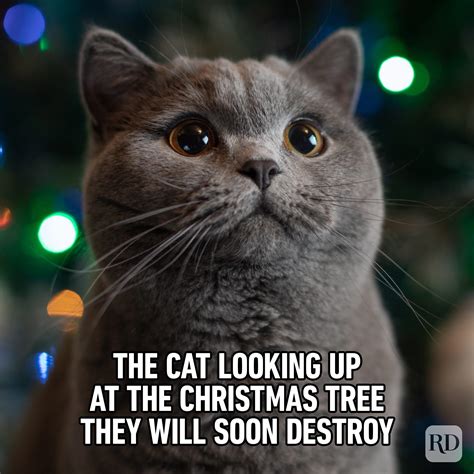 Clean Funny Christmas Memes
