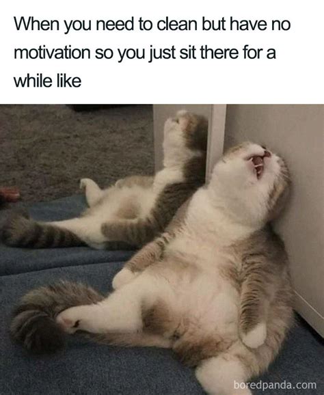 Clean Funny Memes Facebook