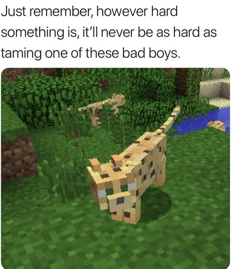 Clean Funny Minecraft Memes