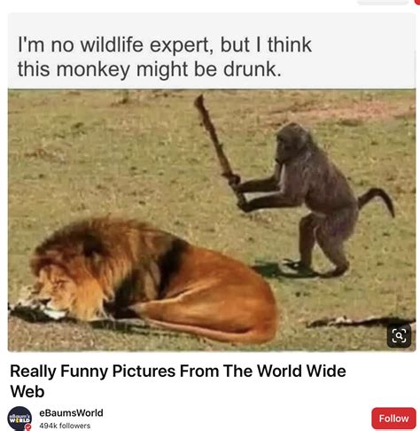 Clean Memes That Are Actually Funny