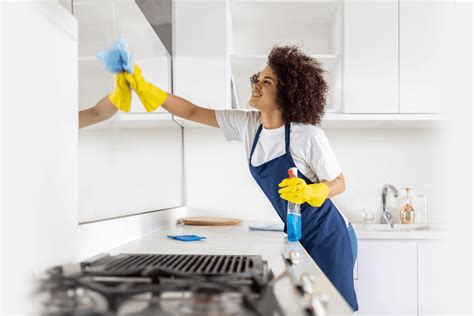 Cleaner