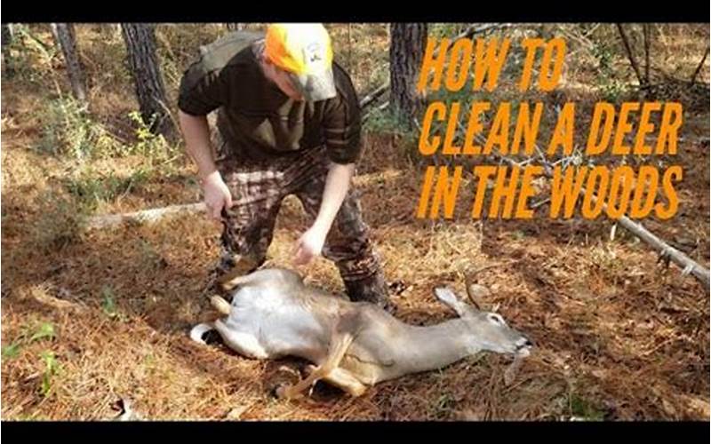 Cleaning A Deer