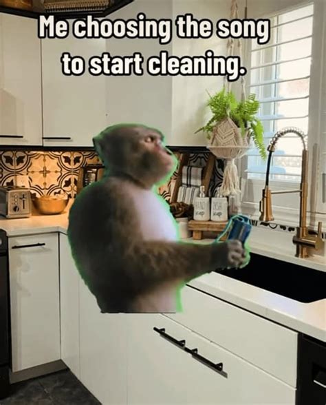 Cleaning Memes Funny
