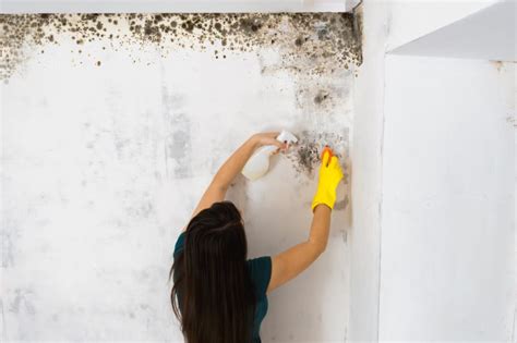 Cleaning Mold on Structural Elements