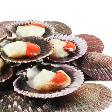 Cleaning Scallops