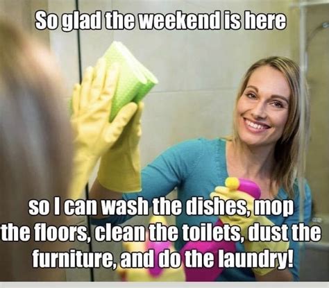 Cleaning With Kids Meme