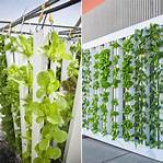 Cleaning the system of a vertical hydroponic garden