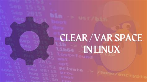 Clearing virusemails directory