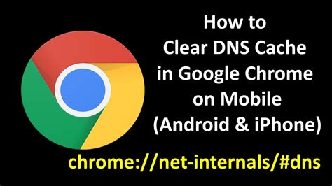 Clear DNS Cache in Google Chrome