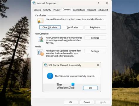 Clear SSL State (PC Only)