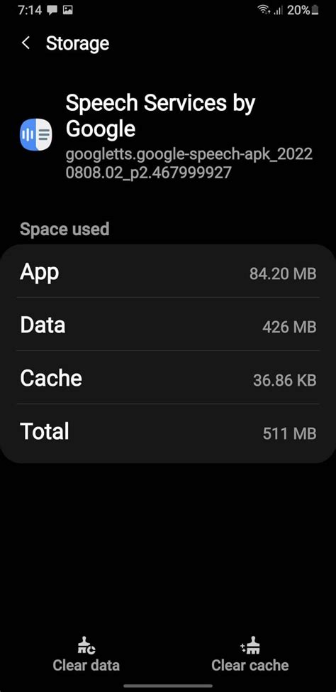 Clear the Speech Service By Google Cache