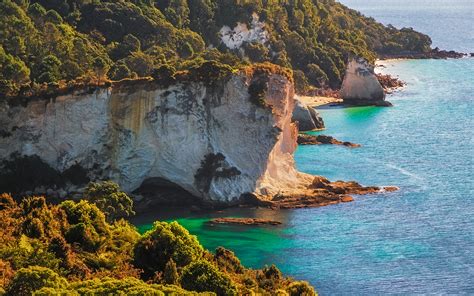 Cliffs of Coromandel Peninsula