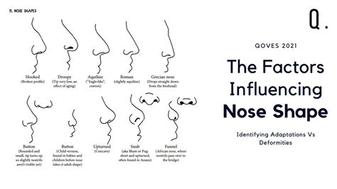 Climate Facial Features Chart
