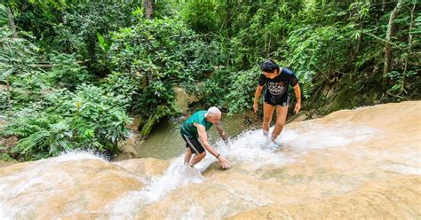 Climbing the Sticky Waterfall