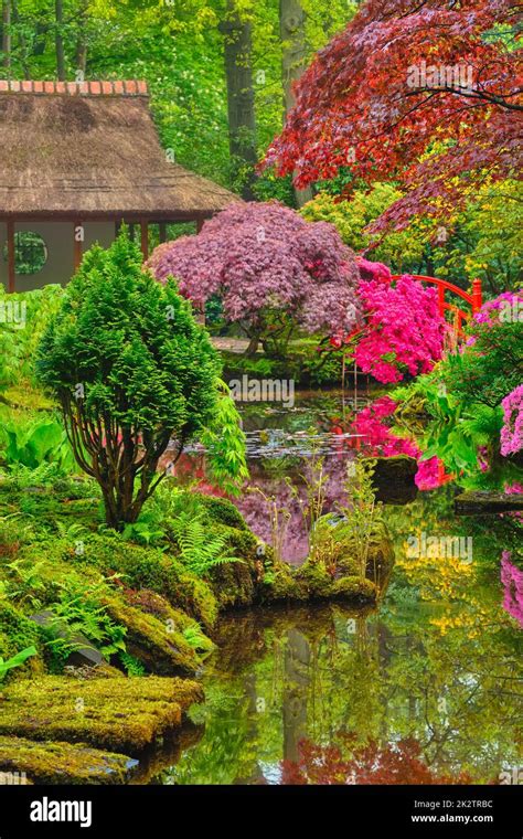 Clingendael Japanese Garden Review: A Peaceful Escape in The Hague