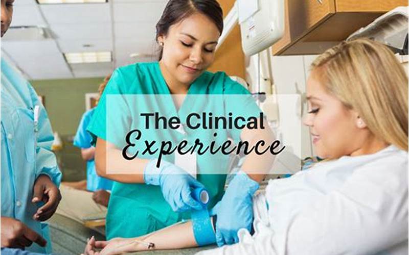 Clinical Experience
