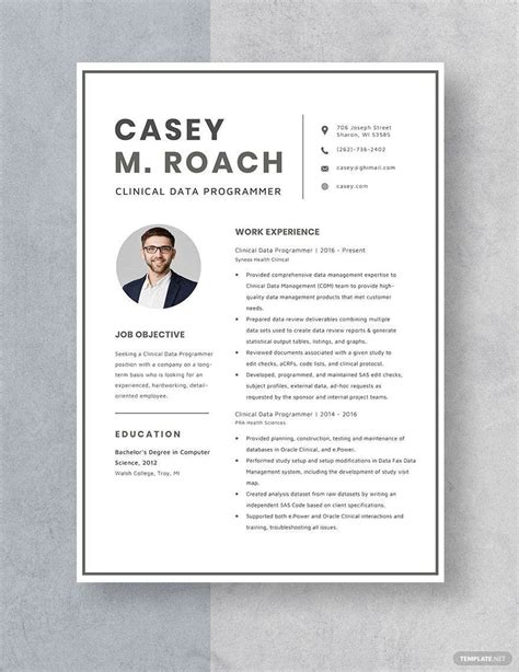 Clinical Data Programmer Resume Template