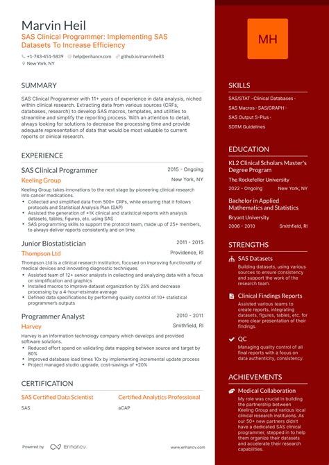 Clinical Programming Resume Template