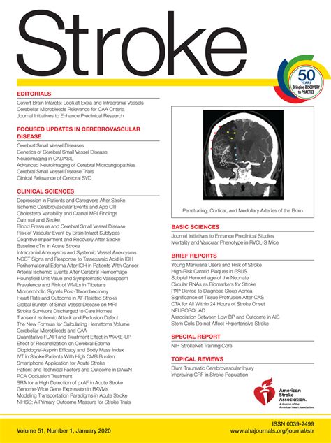 Clinical Relevance Stroke Evaluation