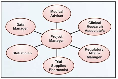 Clinical Research Roles