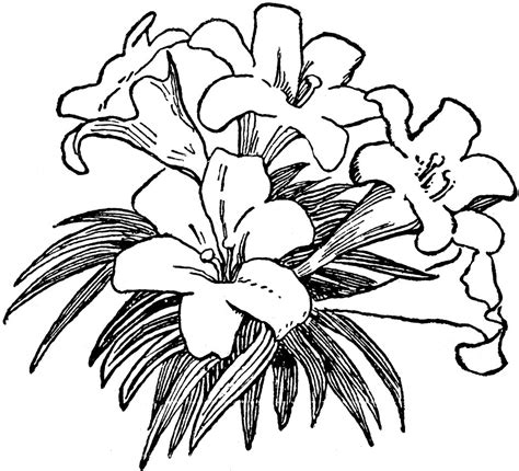 White Flower Clip Art Cliparts.co