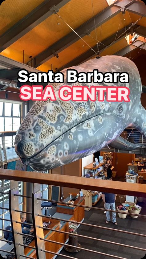 Close Encounters Aquarium