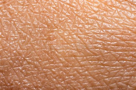 Unveiling The Intricacies Of Human Epidermis - A Captivating Close Up Of Skin