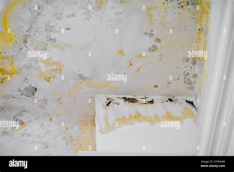 Close up of a leaky roof