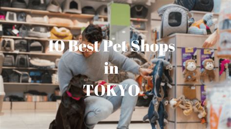 Closest Pet Shop