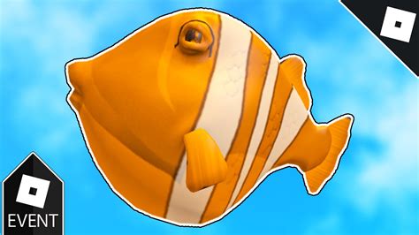 Clownfish - Roblox
