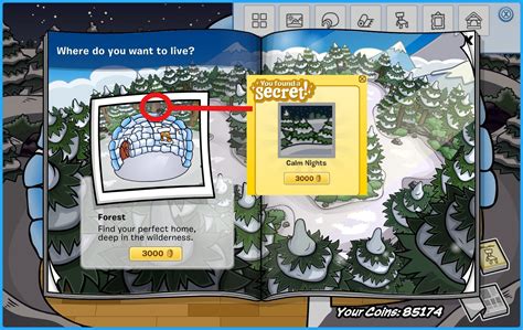 Club Penguin Secret Catalog Items