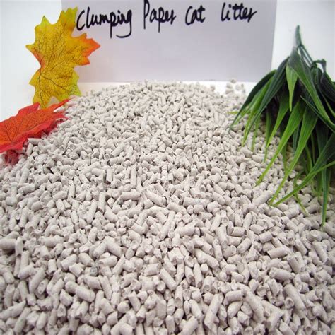 Clumping Clay Litter Dangers