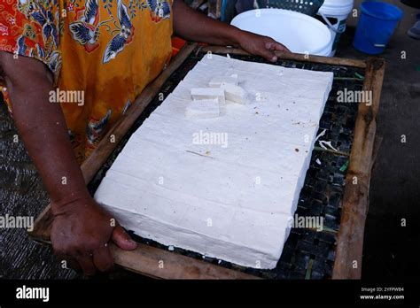 Coagulating the Tofu