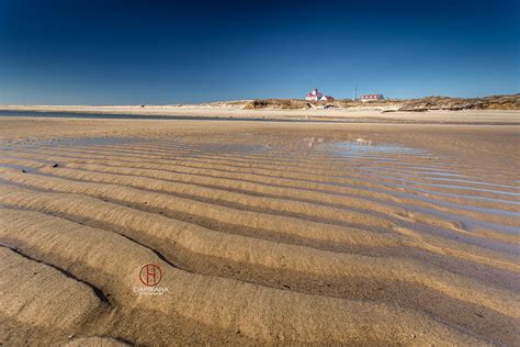 Coast Guard Beach