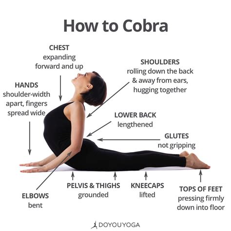 Cobra Pose Cues