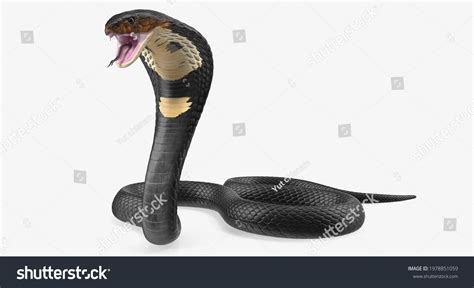 Cobra Pose Dangerous