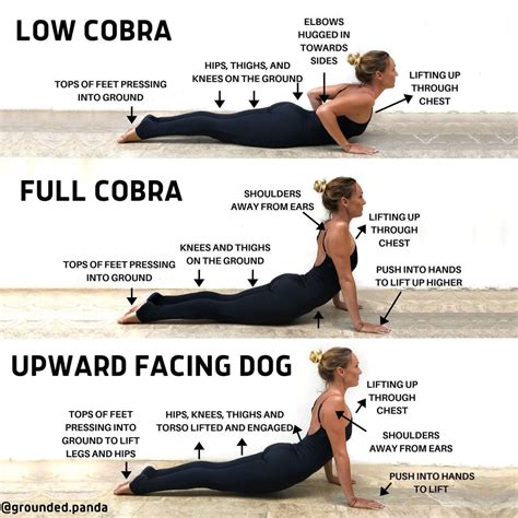 Cobra Pose Progression