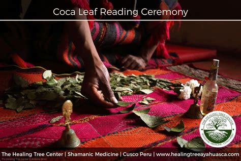 Coca Leaf Reading